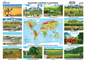 M614 Planicies: Mesetas y llanuras / ecosistema (25 pzas)