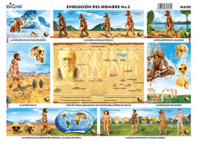 M630 Evolución del hombre 2 (25 pzas)