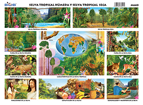 M640 Selva húmeda y selva seca (25 pzas)