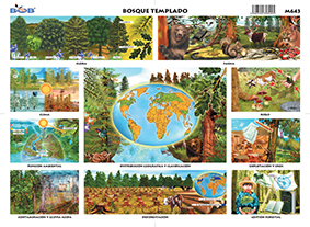 M643 Bosque templado (25 pzas)