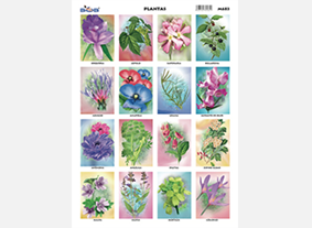 M683 Plantas (25 pzas)