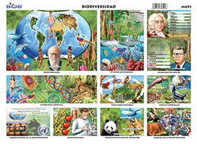 M691 Biodiversidad (25 pzas)