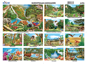 M752 Ecosistema mexicano (25 pzas)