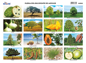 M842 Fauna del Occidente de México (25 pzas)