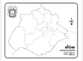 CN084 Aguascalientes División política s/n (100 pzas)