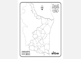 CN242 Tamaulipas División política s/n (100 pzas)