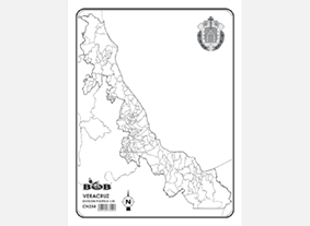 CN254 Veracruz División política s/n (100 pzas)