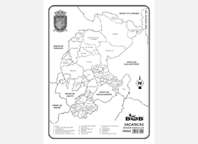 CN265 Zacatecas División política c/n (100 pzas)