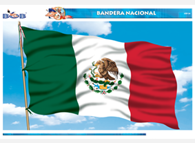 CED24 Bandera nacional (1 pza)