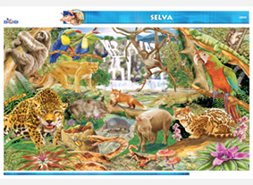 CED53 Selva (1 pza)