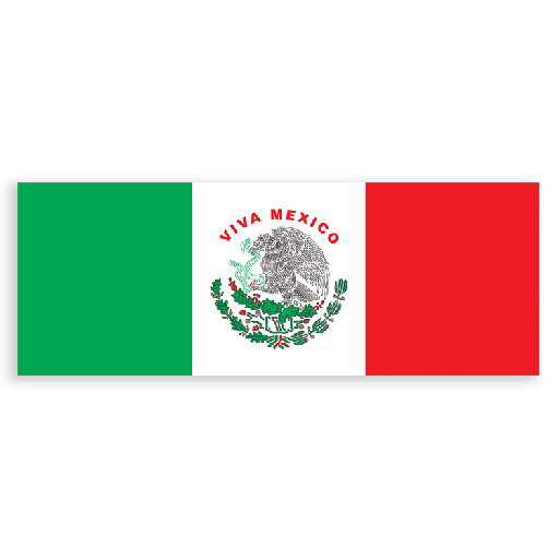 B06 Bandera chica (50 piezas)