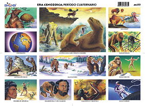 M177 Era cenozoica / período cuaternario (25 pzas)