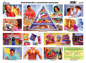 M197 Desnutrición y alimentos chatarra (25 pzas)