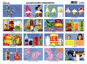 M200 Alimentación - carbohidratos (25 pzas)