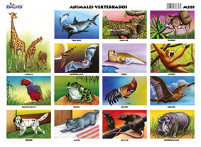 M205 Animales vertebrados 2 (25 pzas)