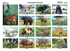 M210 Animales salvajes (25 pzas)