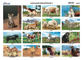 M211 Animales domésticos 1 (25 pzas)
