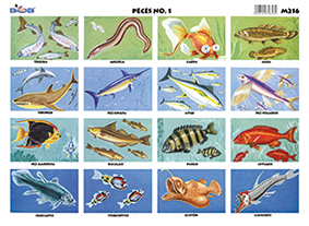 M216 Peces 1 (25 pzas)