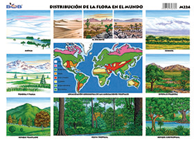 M224 Distribución de la flora en el mundo (25 pzas)