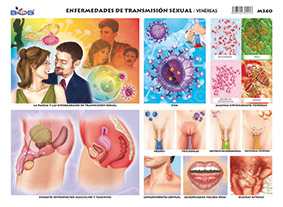 M340 Enfermedades de transmisión sexual / venéreas (25 pzas)