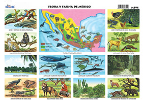 M394 Flora y fauna de México (25 pzas)