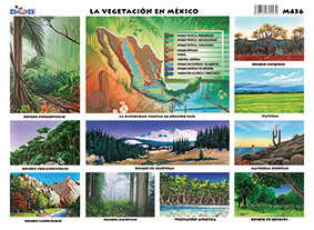 M436 Vegetación en México (25 pzas)