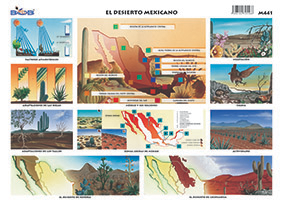 M441 Desierto mexicano (25 pzas)