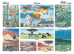 M488 Biomas / ecosistemas (25 pzas)