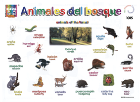 Animales del bosque CUA10